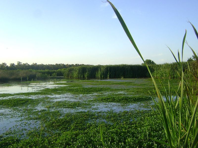 Largest wetland in Argentina