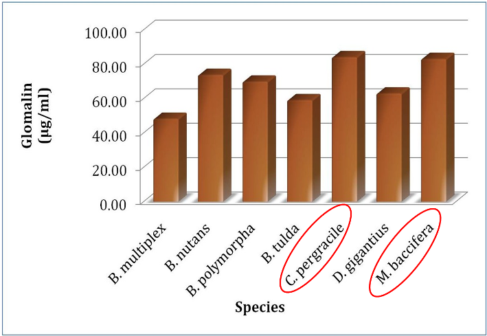 Glomalin content of the soil collected from root zone of different exotic bamboos of FRI bambusetum