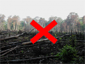 Reducing Emission from Deforestation and Forest Dedradation