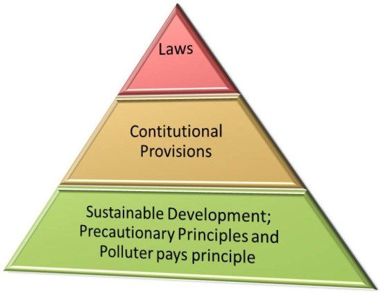 Hierarchy of Environmental Jurisprudence in India