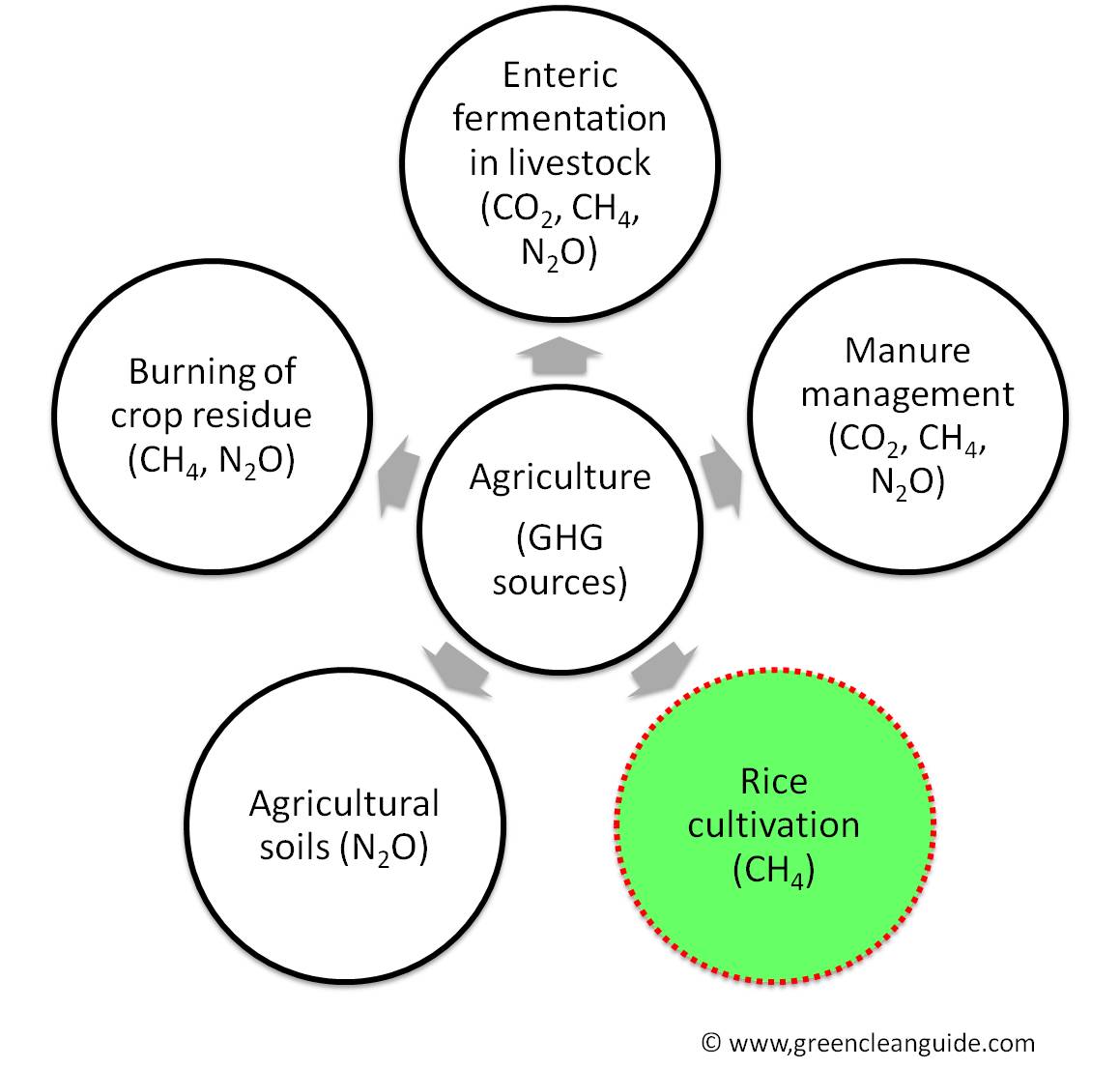 Sources of GHG emission from Agriculture