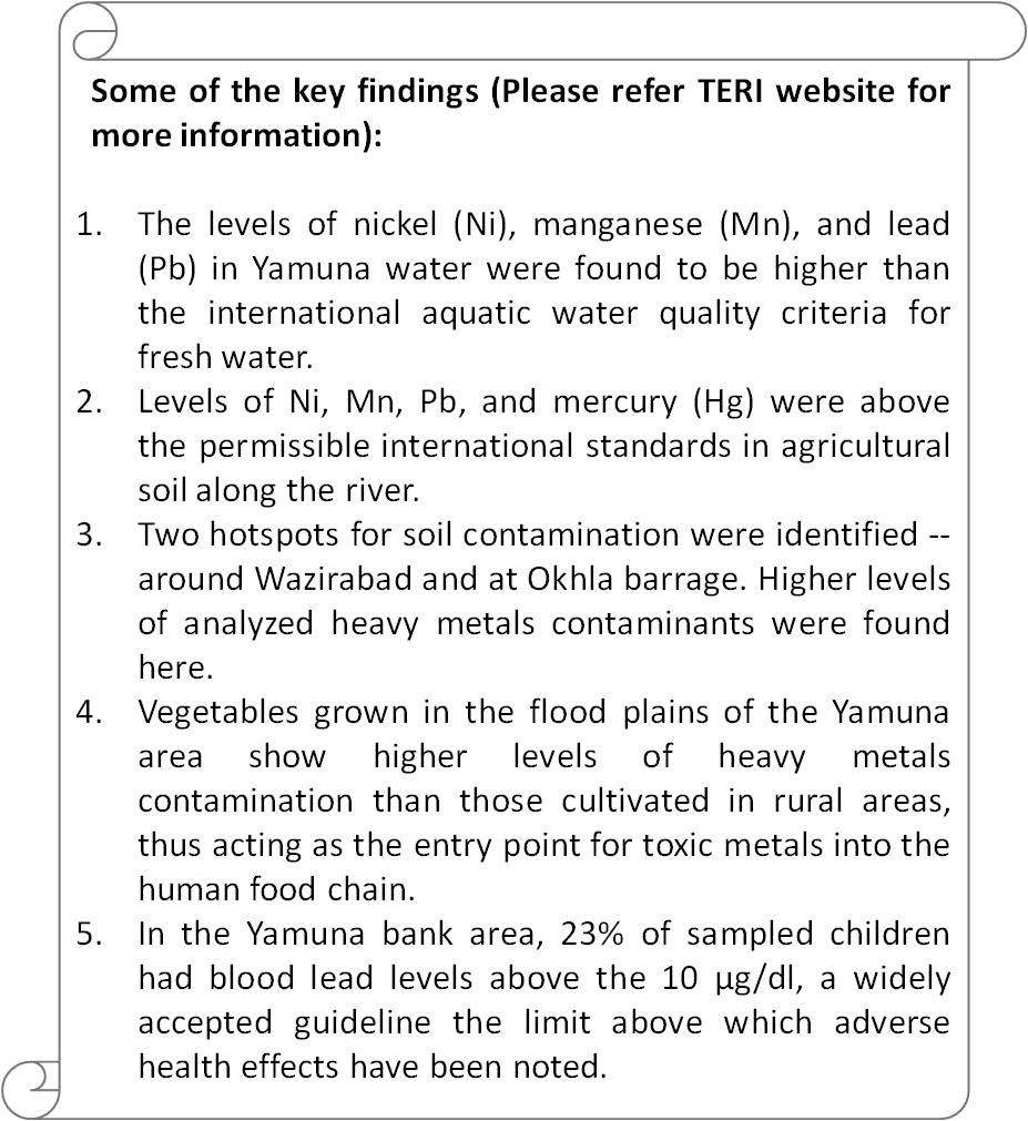 Impacts of pollution in river Yamuna_TERI Findings