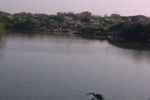 Uppalapadu lake