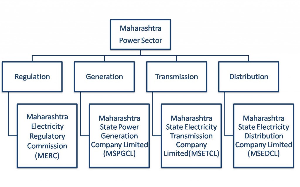 Institutional structure of Maharashtra State Electricity Board
