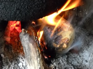 Biomaas cooking stove