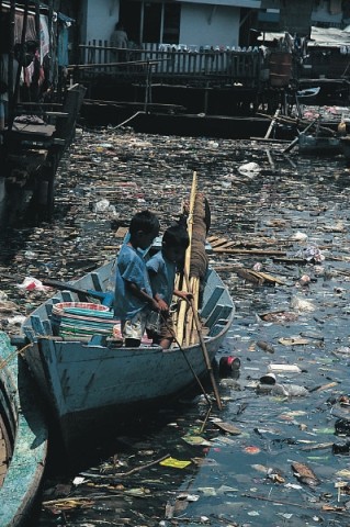 Water Pollution in Minimata Bay in Japan