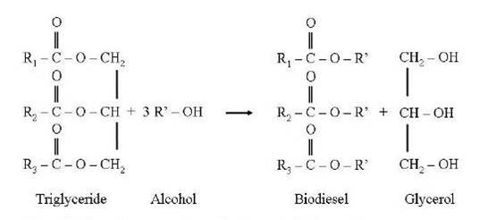 Schematic representation of the transesterification reaction