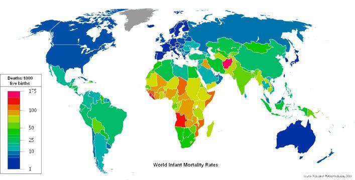 World Infant mortality rates in 2008