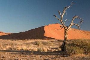Desert at Namibia