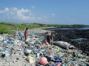 Pollution incidents on the beaches