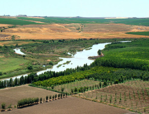 Tigris River