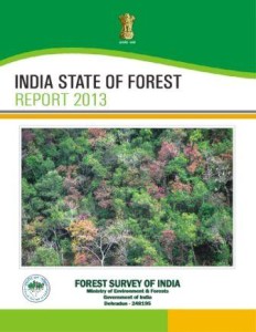 State of Forest Report 2013