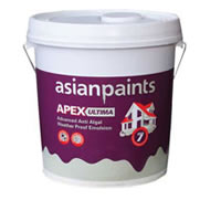 asian-paints