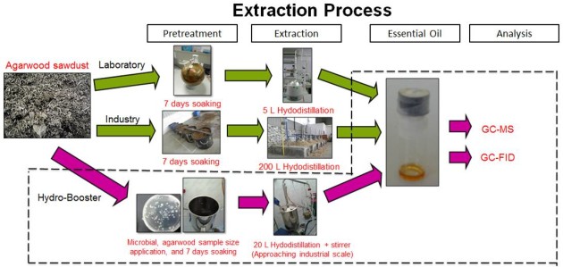 Extraction process-Agarwood