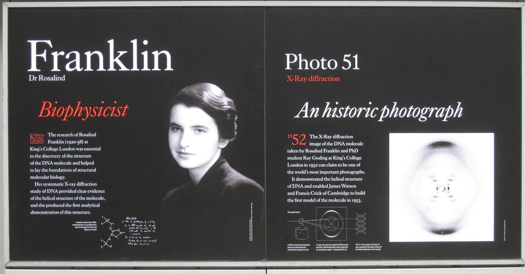 Rosalind Franklin and Photo 51