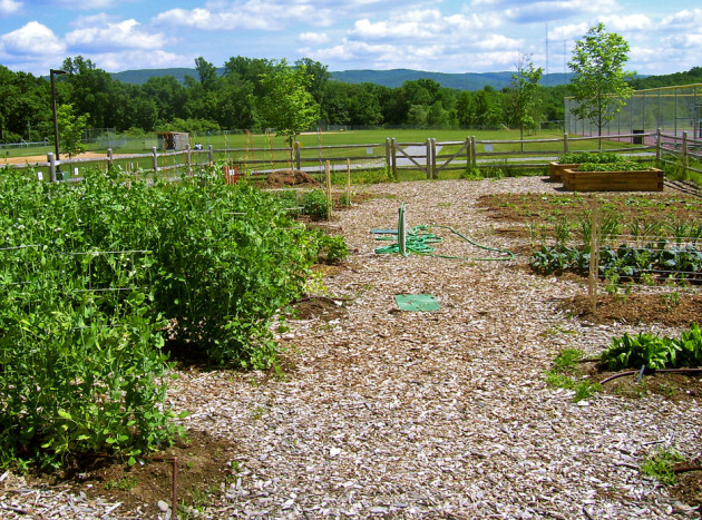 Organic garden