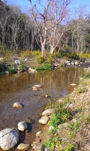 Water stream