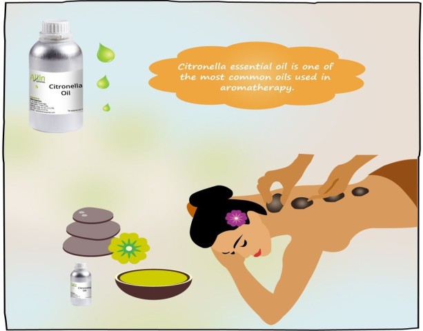 Citronella Oil in Aromatherapy