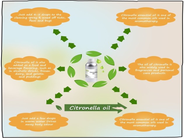 Different Uses of Citronella Oil