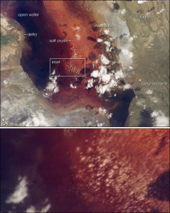 Satellite imagery of Lake Natron with features labelled