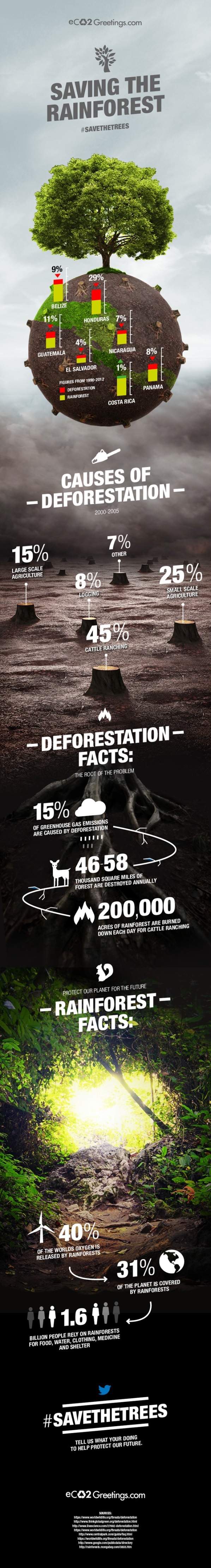 The Alarming Truth Behind Deforestation