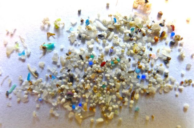 Microbeads pollution
