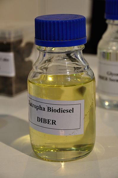 Jatropha Biodiesel