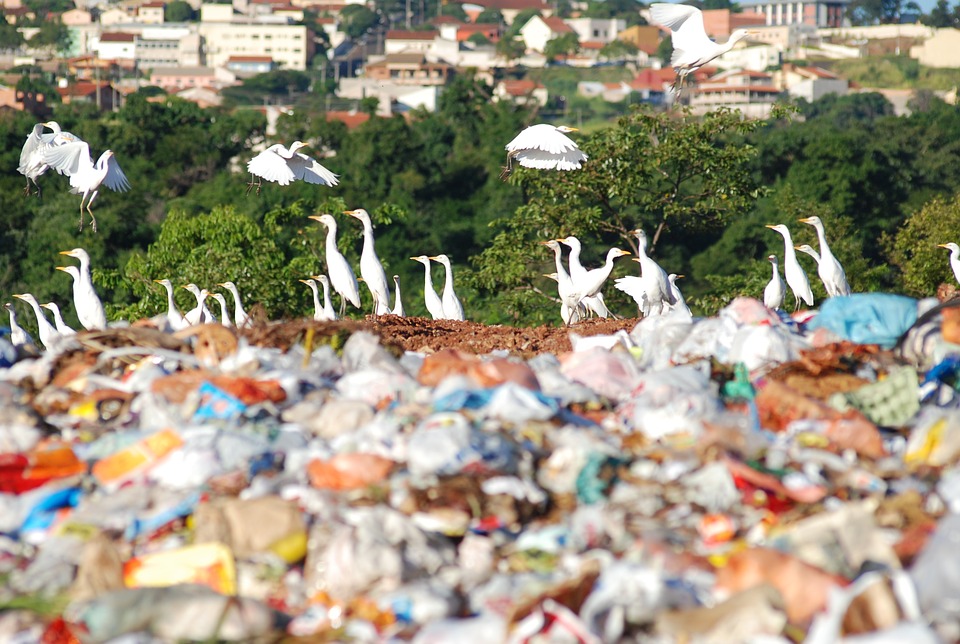 Explained: Why is single-use plastic being banned in India from July 1? |  Explained News - The Indian Express