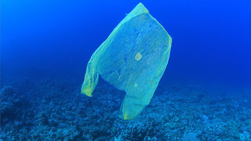 Plastic Pollution in Ocean