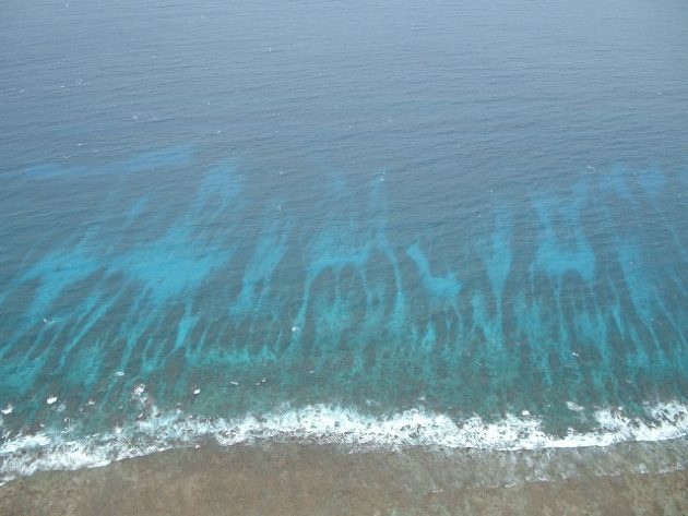 Belize Barrier Reef