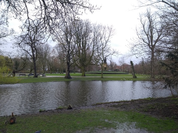 Small lake, Vondelpark, Amsterdam