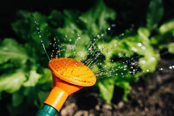 Water-fountain_water-spring