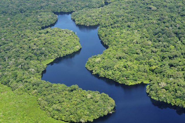 Aerial view of the Amazon river
