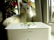 Click-Grow-25-Flowerpot