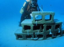 Constructing an artificial reef